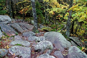 Chikanishing Trail